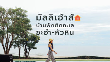 มัลลิเฮ้าส์
